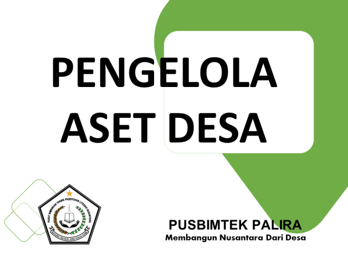 PENGELOLA ASET DESA