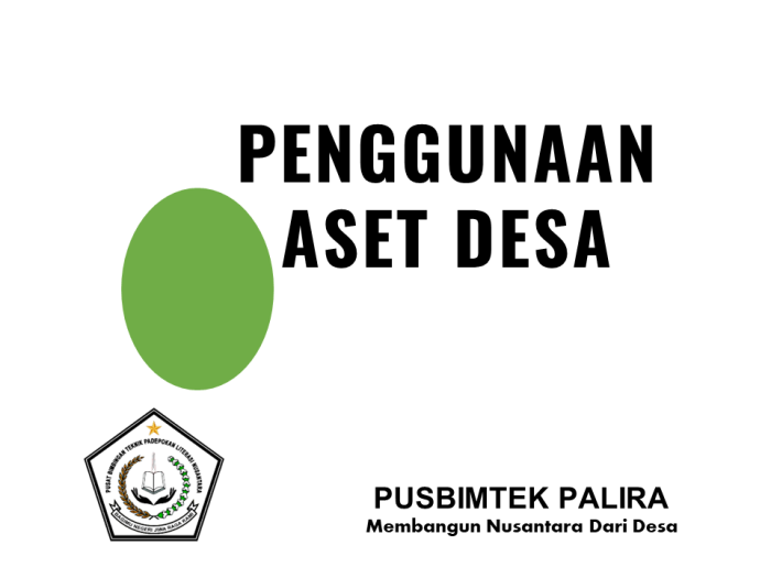 PENGGUNAAN ASET DESA