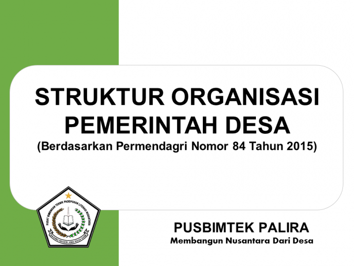 STRUKTUR ORGANISASI PEMERINTAH DESA