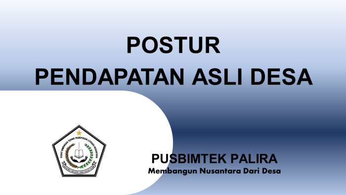 POSTUR PENDAPATAN ASLI DESA