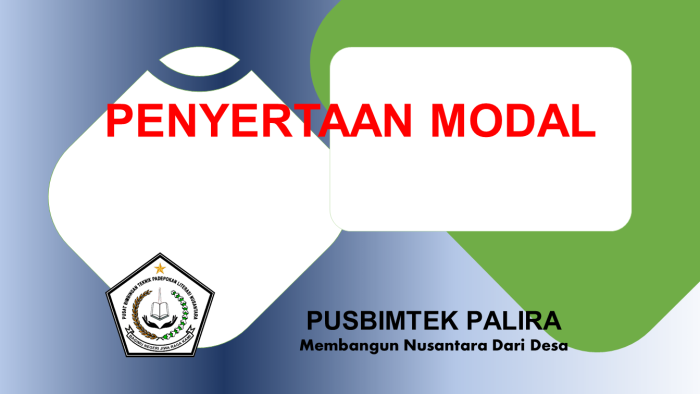 PENYERTAAN MODAL