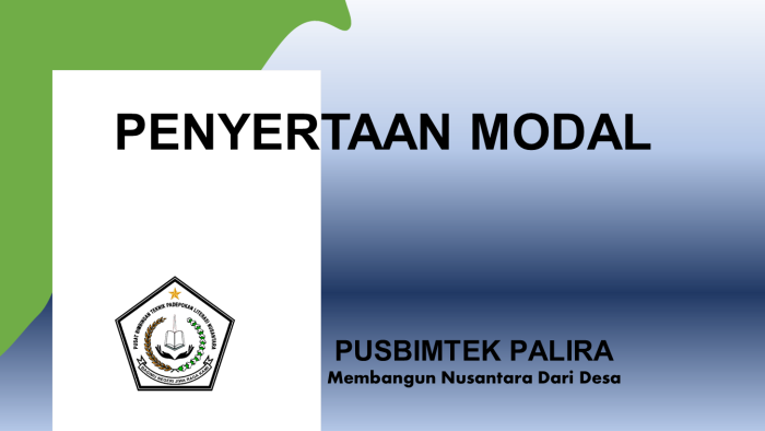 PENYERTAAN MODAL